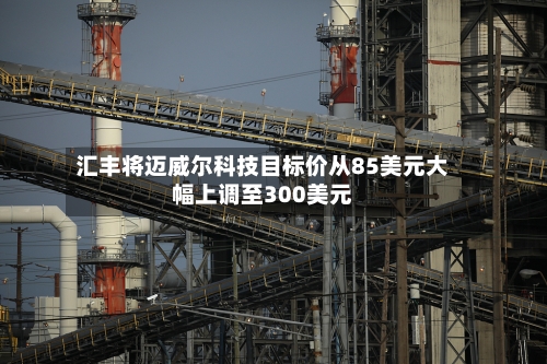汇丰将迈威尔科技目标价从85美元大幅上调至300美元-第2张图片