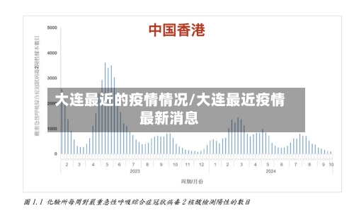 大连最近的疫情情况/大连最近疫情最新消息-第3张图片