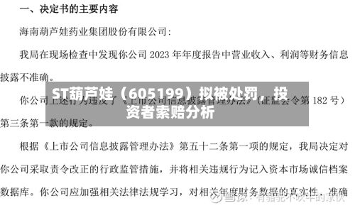 ST葫芦娃（605199）拟被处罚，投资者索赔分析-第2张图片
