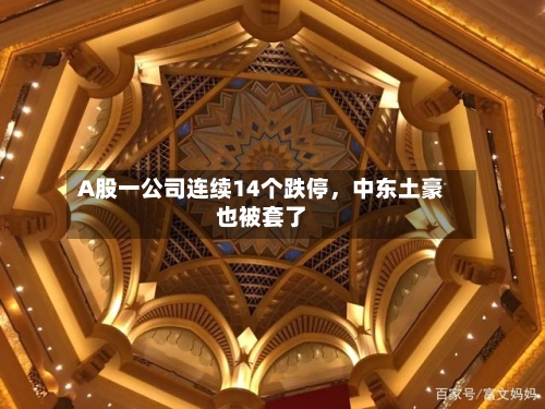 A股一公司连续14个跌停	，中东土豪也被套了-第2张图片
